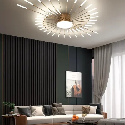 Fireworks Ceiling Lights